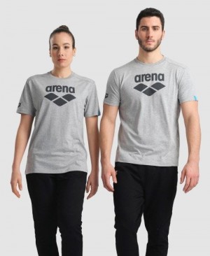 Arena Logo Cotton T-shirt Grey | 970483-GVY