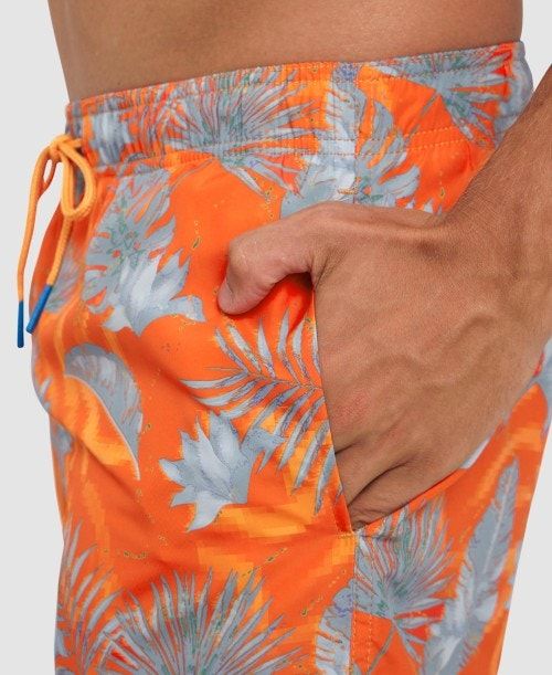 Arena Allover Beach Boxer Grey Multicolor | 248731-MLR