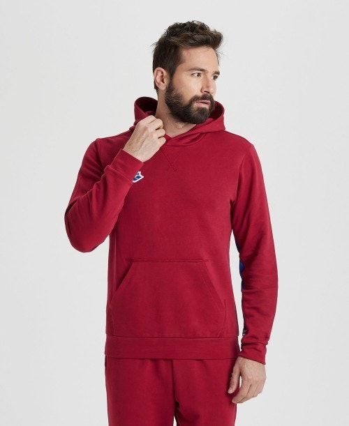 Arena Icons Solid Hooded Sweatshirt Burgundy / Blue | 273068-GIO