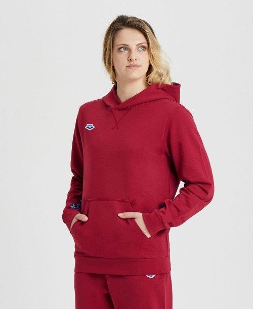 Arena Icons Solid Hooded Sweatshirt Burgundy / Blue | 273068-GIO