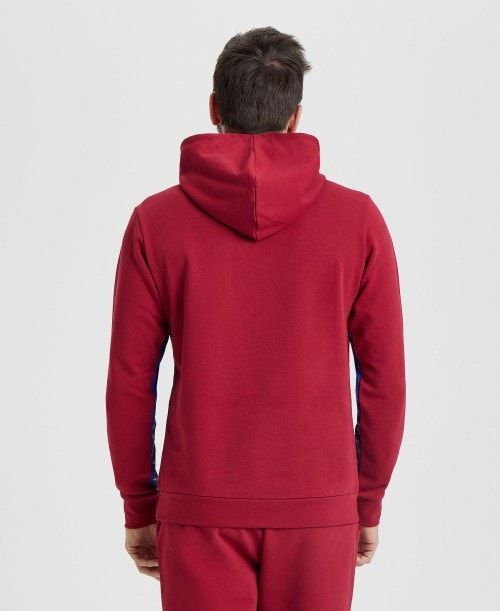 Arena Icons Solid Hooded Sweatshirt Burgundy / Blue | 273068-GIO