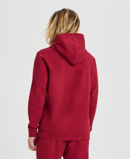 Arena Icons Solid Hooded Sweatshirt Burgundy / Blue | 273068-GIO