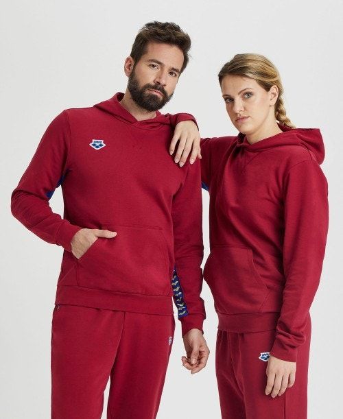 Arena Icons Solid Hooded Sweatshirt Burgundy / Blue | 273068-GIO